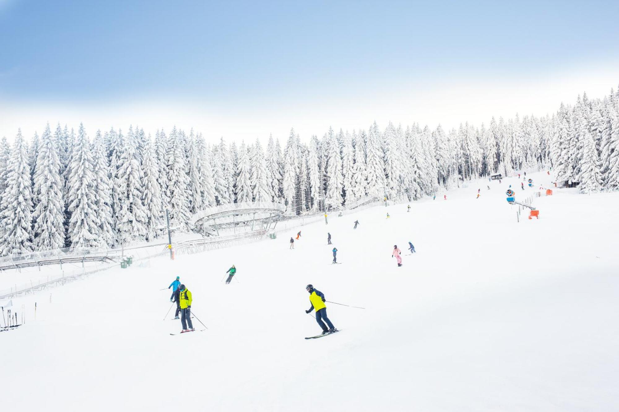 Panorama Ski, Bike, Spa & Restaurant - Czarna Gora Resort Stronie Śląskie Eksteriør bilde